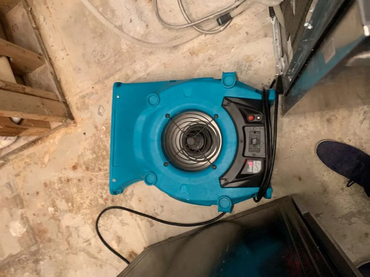 Air mover drying equipment for Mold Remediation & Removal in Niles